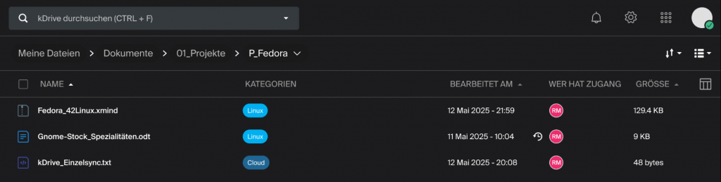 Im Bild wird eine Liste von Dateien angezeigt, mit deren Kategorisierung.